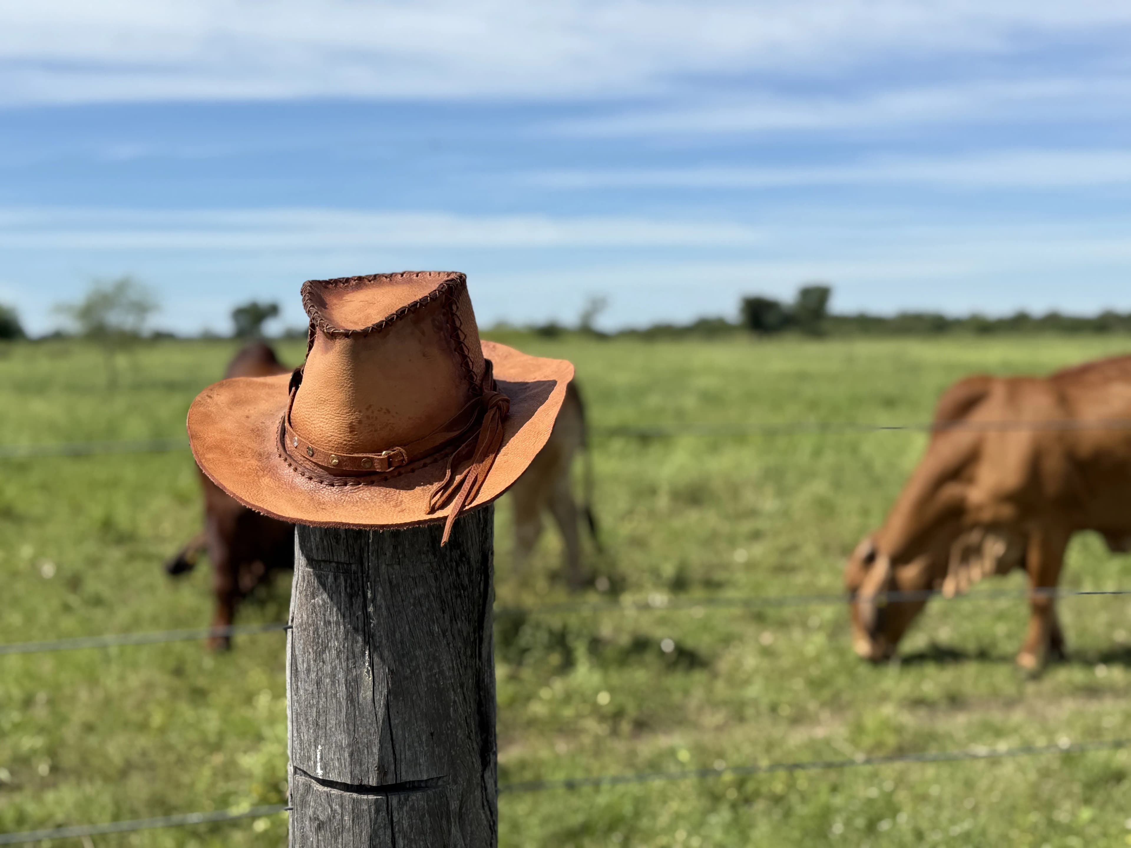 Exclusive Accessories